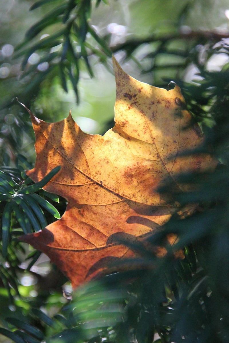 Space-inspired Favors